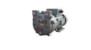 水環式真空泵ZKB-24